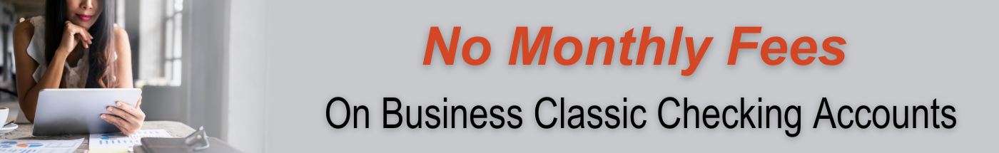 No Monthly Fees on Business Classic Checking