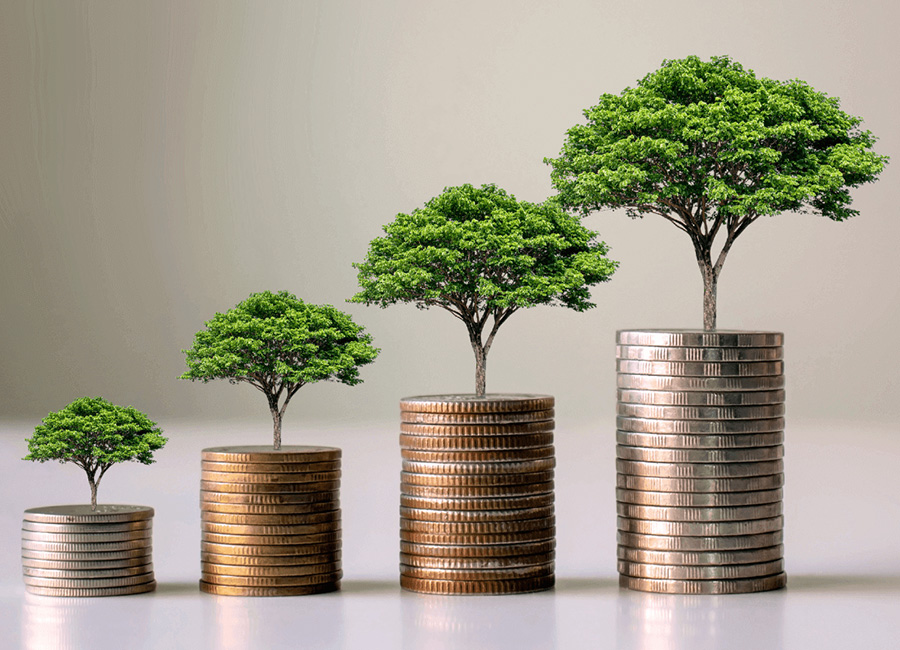 Money growing- Watch Your Savings Grow- CD Special