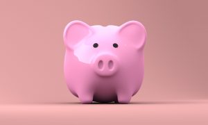 piggy bank