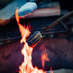 Two marshmellows roasting in a fire.