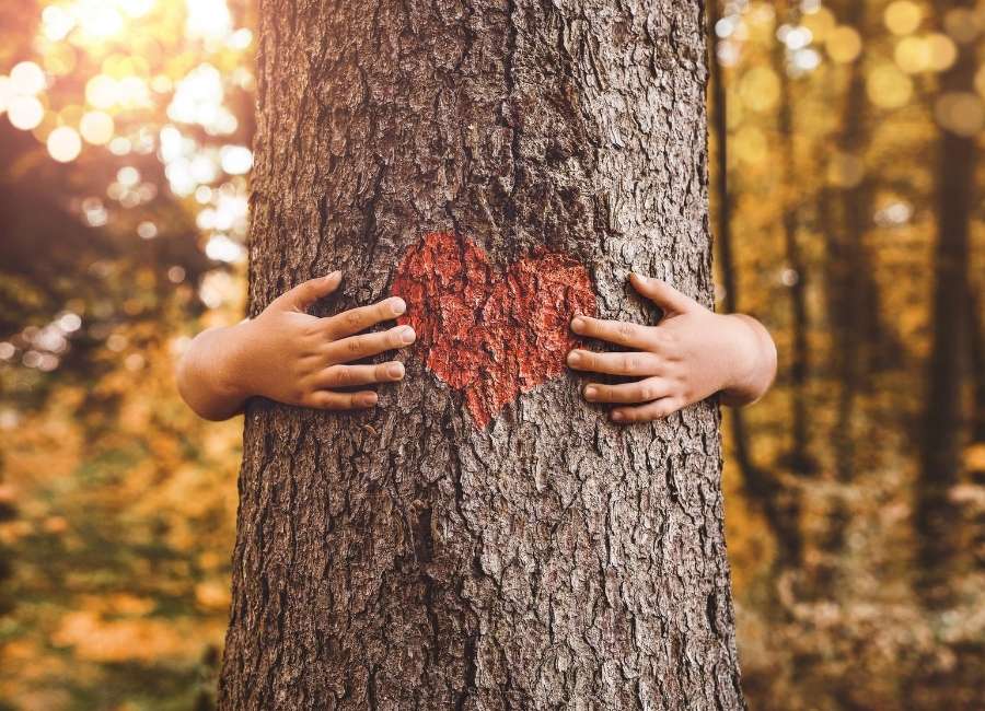 Child hugging a tree