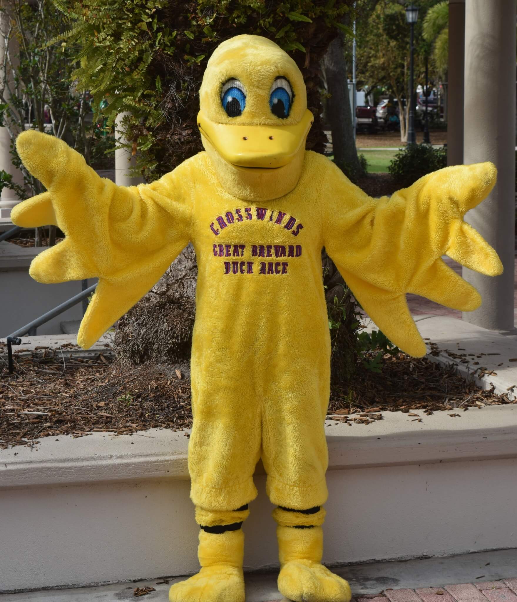 Duckie from Brevard Duck Race