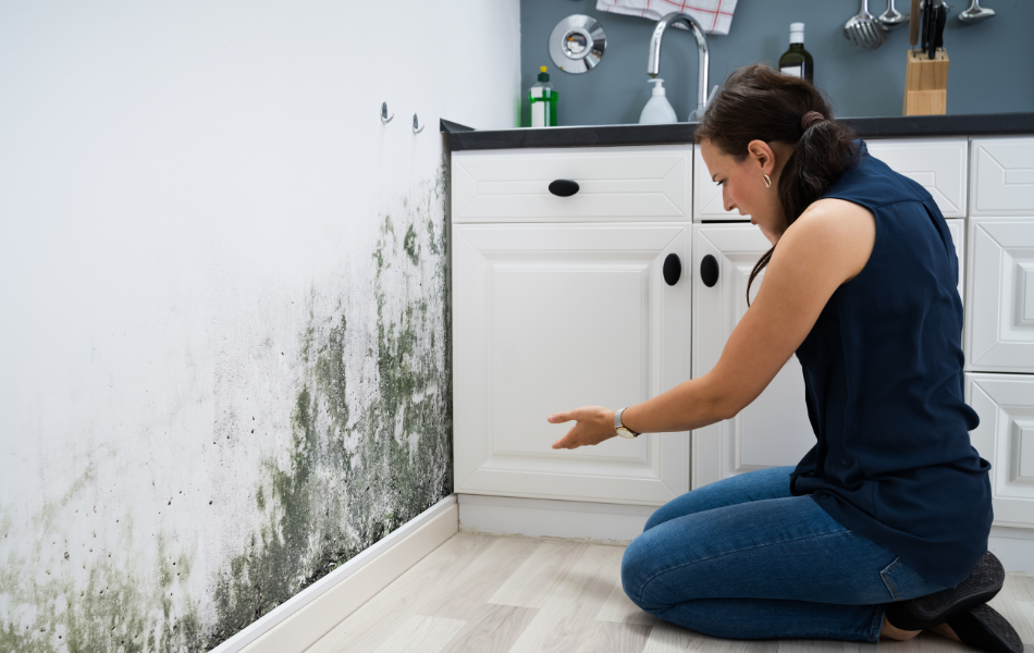 Woman Kneelig in Kitchen Looking At Mold